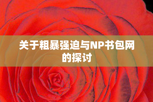 关于粗暴强迫与NP书包网的探讨图片