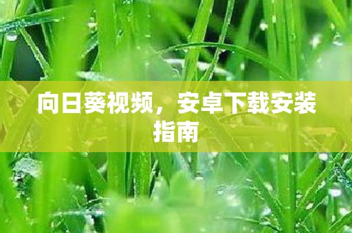 安卓下载安装指南图片