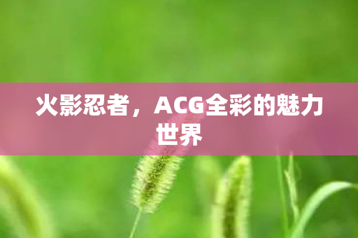ACG全彩的魅力世界图片