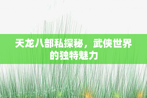 武侠世界的独特魅力图片