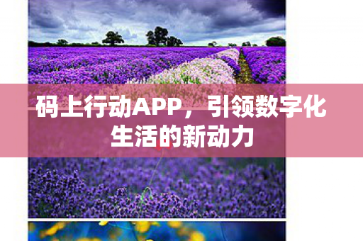 引领数字化生活的新动力图片