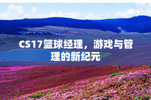 游戏与管理的新纪元图片