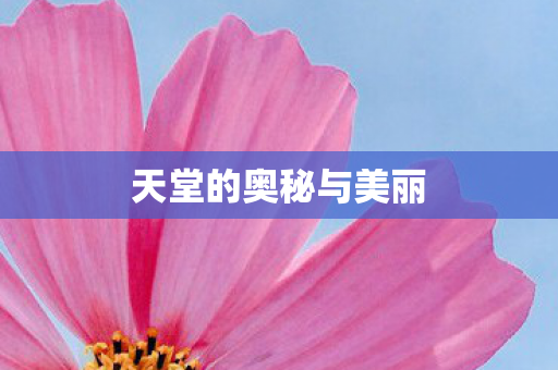 天堂的奥秘与美丽图片