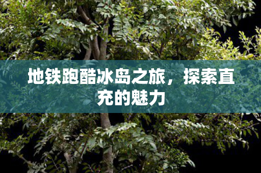 地铁跑酷冰岛之旅图片