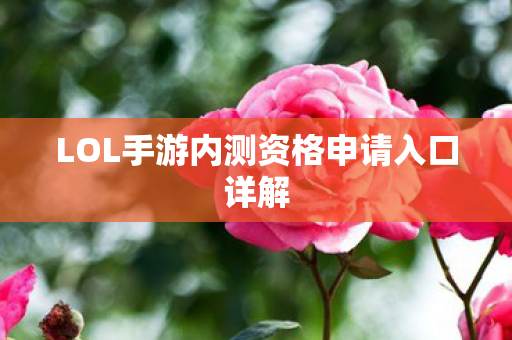 LOL手游内测资格申请入口详解图片