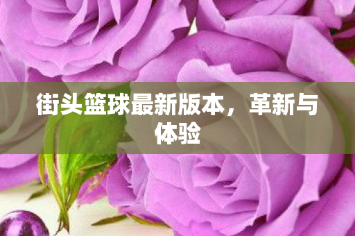街头篮球最新版本图片
