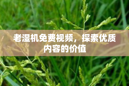 探索优质内容的价值图片