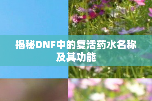 揭秘DNF中的复活药水名称及其功能图片