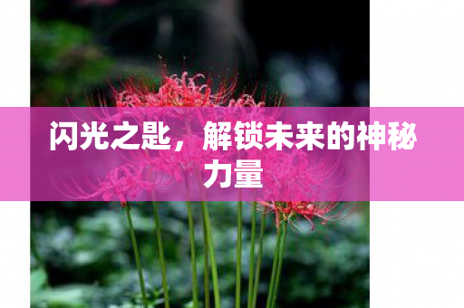 解锁未来的神秘力量图片
