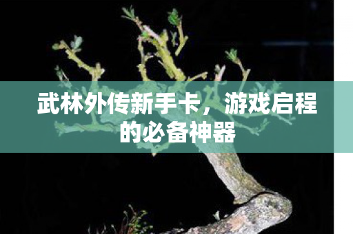 游戏启程的必备神器图片