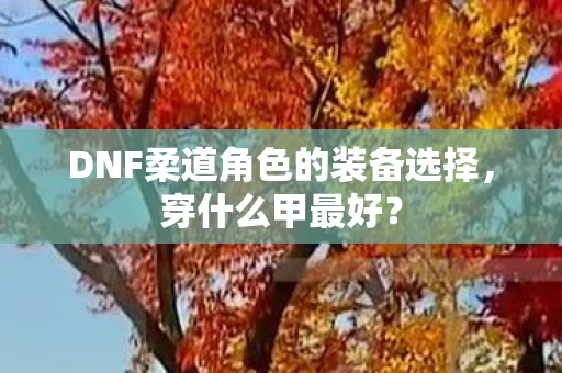 DNF柔道角色的装备选择图片