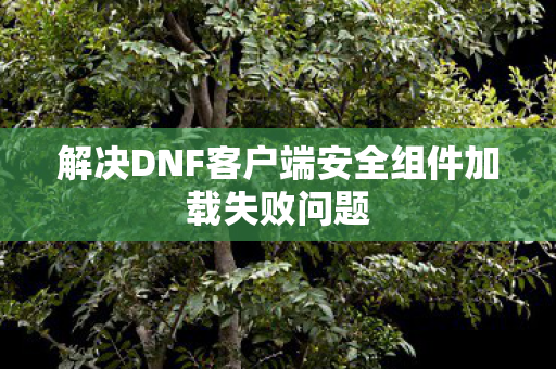 解决DNF客户端安全组件加载失败问题图片