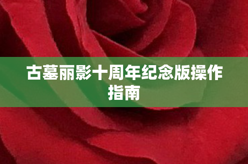 古墓丽影十周年纪念版操作指南图片