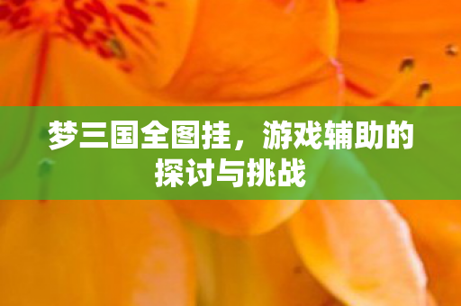 游戏辅助的探讨与挑战图片