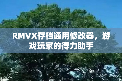 RMVX存档通用修改器图片