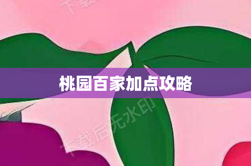 桃园百家加点攻略图片