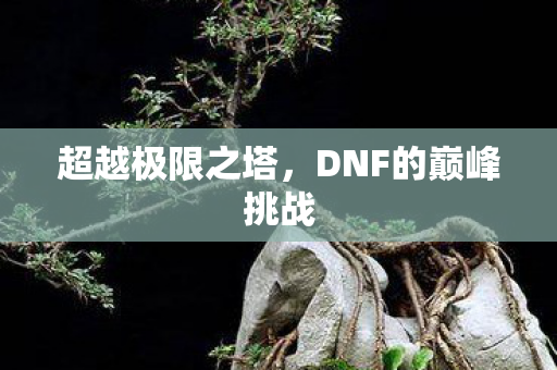 DNF的巅峰挑战图片