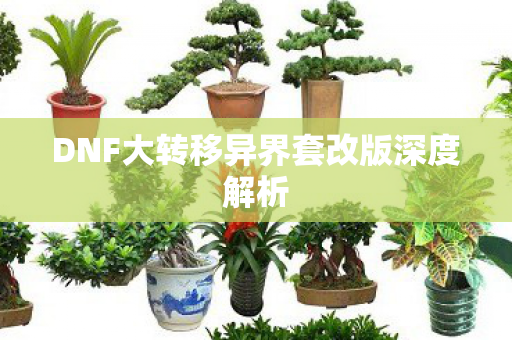 DNF大转移异界套改版深度解析图片