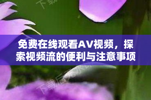 探索视频流的便利与注意事项图片