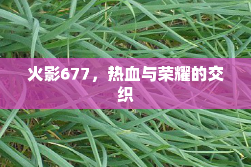 热血与荣耀的交织图片