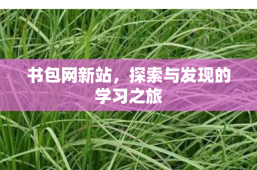 探索与发现的学习之旅图片
