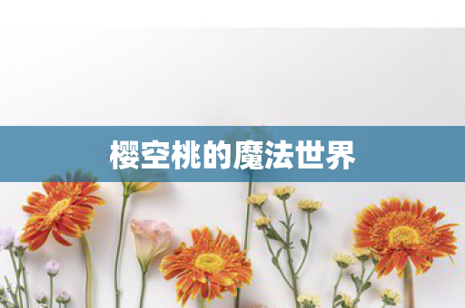 樱空桃的魔法世界图片