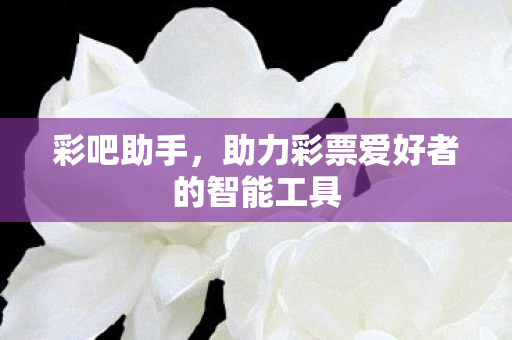助力彩票爱好者的智能工具图片