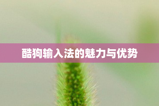 酷狗输入法的魅力与优势图片