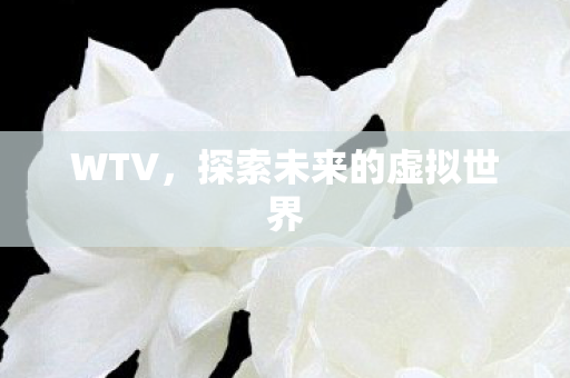 探索未来的虚拟世界图片