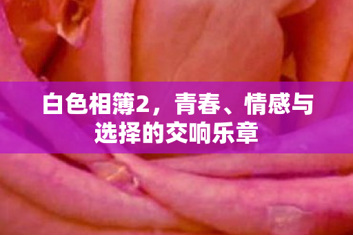 情感与选择的交响乐章图片