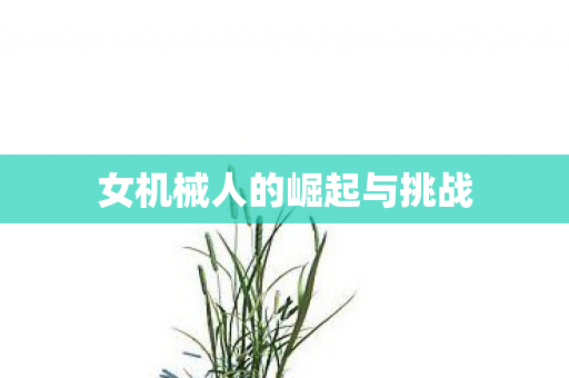 女机械人的崛起与挑战图片
