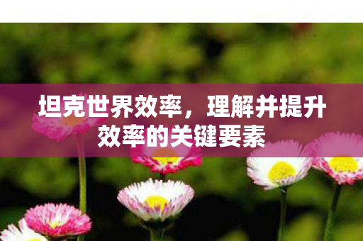 理解并提升效率的关键要素图片