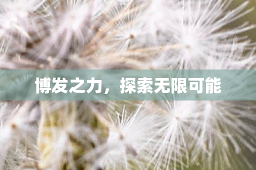 探索无限可能图片