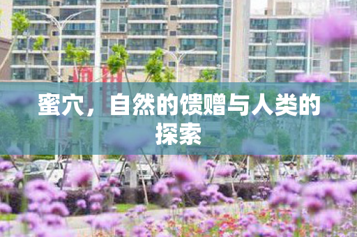 自然的馈赠与人类的探索图片