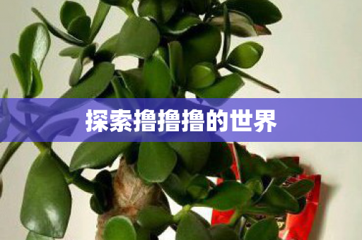 探索撸撸撸的世界图片