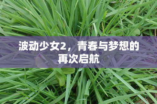 青春与梦想的再次启航图片