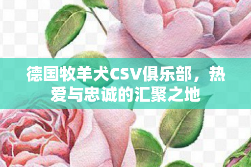 德国牧羊犬CSV俱乐部图片