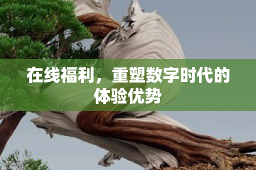 重塑数字时代的体验优势图片