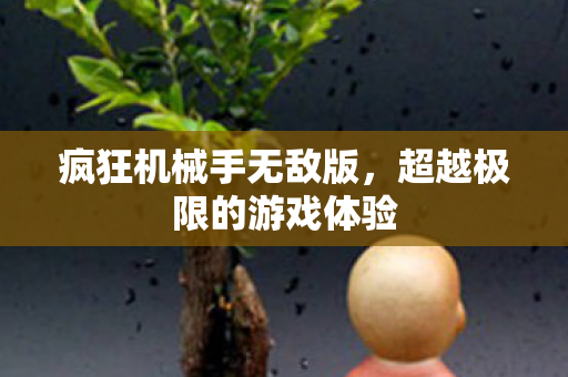 超越极限的游戏体验图片