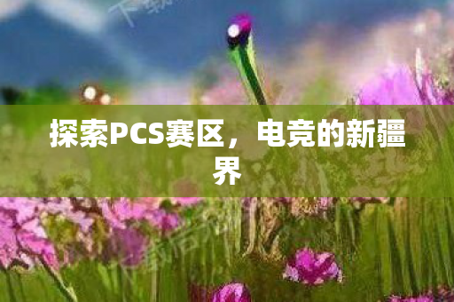 探索PCS赛区图片
