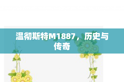 温彻斯特M1887图片