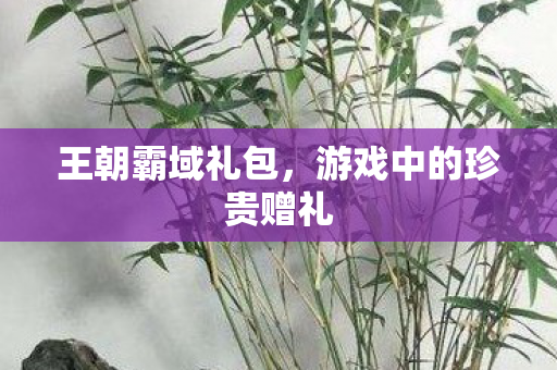 游戏中的珍贵赠礼图片