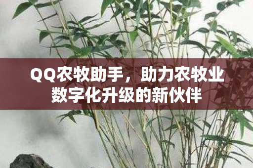 助力农牧业数字化升级的新伙伴图片