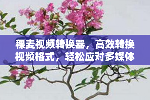 轻松应对多媒体需求图片