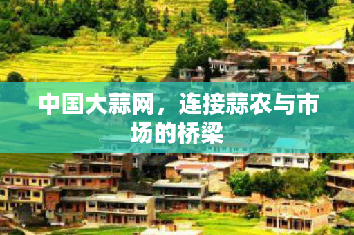 连接蒜农与市场的桥梁图片