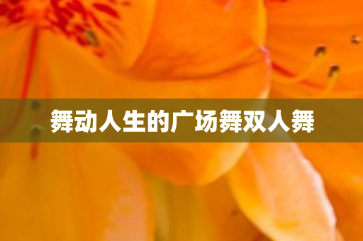 舞动人生的广场舞双人舞图片