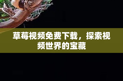 探索视频世界的宝藏图片