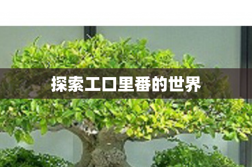 探索工口里番的世界图片