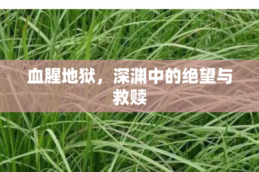 深渊中的绝望与救赎图片