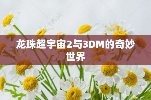 龙珠超宇宙2与3DM的奇妙世界图片